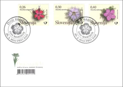 FLORA - DIVJI NAGELJČKI